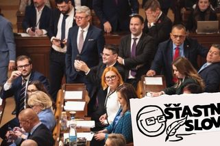 Komentář: „Babišův případ trvá už nekonečně dlouho.“ Až na to, že ne - Seznam Zprávy